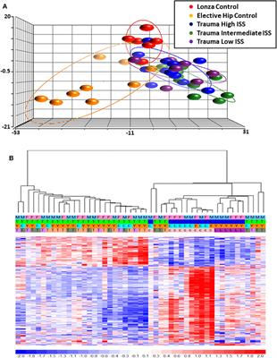 Identification of Unique mRNA and miRNA Expression Patterns in Bone Marrow Hematopoietic Stem and Progenitor Cells After Trauma in Older Adults